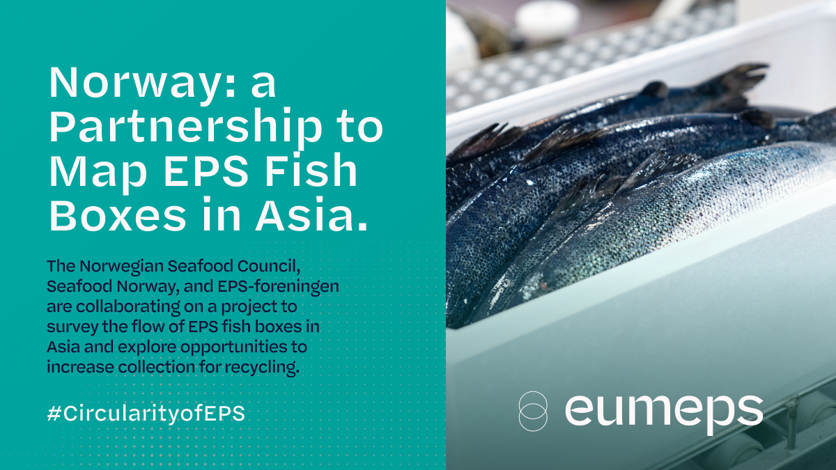 New Partnership to Map the Flow of Fish Packaging in Asia